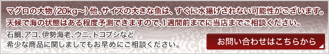 マグロの大物（20kg～）他、サイズの大きな魚は、すぐに水揚げされない可能性がございます。天候で海の状態はある程度予測できますので、1週間前までに当店までご相談ください。