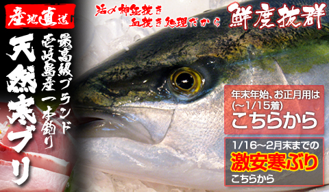 壱岐一本釣り寒ブリ（送料無料）極上の美味しさ！セリ価格で冷凍しないまま生でお届けします