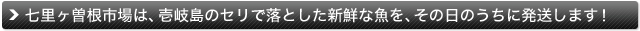七里ヶ曽根市場は、壱岐島のセリで落とした新鮮な魚を、その日のうちに発送します！