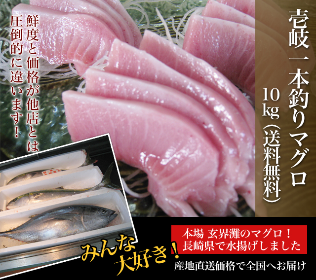 ――玄界灘壱岐島【七里ヶ曽根市場】　壱岐一本釣りマグロ10kg　30％OFF（送料無料）