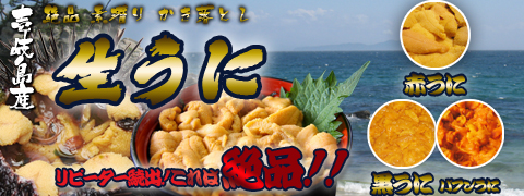 壱岐島産うに 玄界灘の荒波で育ったうにを産地直送でお届けします